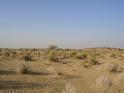 Towards the Thar desert